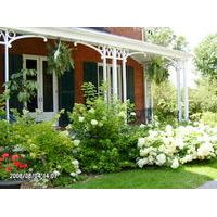 Mackechnie House Bed and Breakfa...