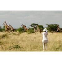 Maasai Simba Camp