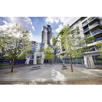 Marlin Empire Square