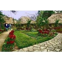 Maya Mountain Lodge & Tours