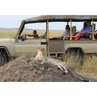 mara ngenche safari camp