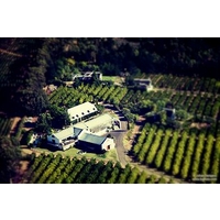 Marianne Wine Estate