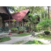 Mai Phuong Resort