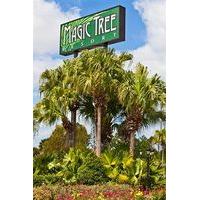 magic tree resort