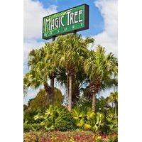 Magic Tree Resort