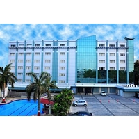 Manasarovar The Fern