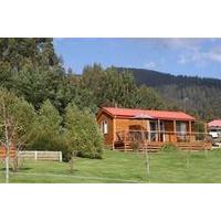 Maydena Country Cabins Accommodation & Alpaca Stud