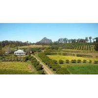 Mango Hill Farm