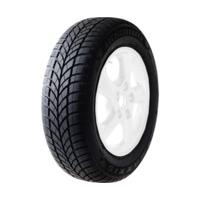 Maxxis WP-05 Arctictrekker 205/55 R16 91H