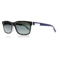 Maui Jim Eh Brah Sunglasses Tortoise STGSG Polariserade 55mm