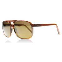 Maui Jim Silversword Sunglasses Brown Aqua STGBG Polariserade