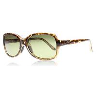 Maui Jim HTS700-10 Sunglasses Tortoise HTS700-10 Polariserade