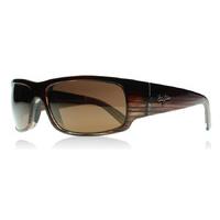 Maui Jim World Cup Sunglasses Chocolate Stripe Fade H266-01 Polariserade