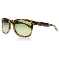 Maui Jim Legends Sunglasses Tokyo Tortoise - Maui HT HT293-10L Polariserade