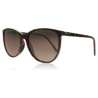 Maui Jim Ocean Sunglasses Tortoise Raspberry 12b Polariserade 57mm