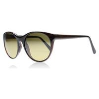 Maui Jim Mannikin Sunglasses Brown Stripe STG-SG Polariserade