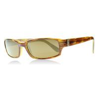 maui jim atoll sunglasses tortoise h220 10 polariserade