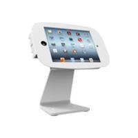 Maclocks iPad Mini Space Enclosure Kiosk Rotating & Swiveling Mount