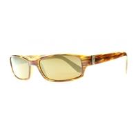 maui jim atoll h220 10 tortoise