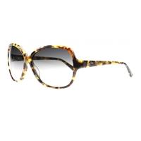 maui jim maile mj294 10l tortoise