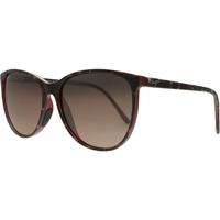 maui jim ocean rs723 12b tortoise raspberry