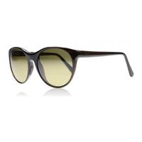 maui jim mannikin hs704 26s stg sg brown stripe