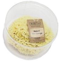 Maddox Sponges: Natural Sponge Large
