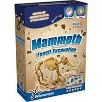 mammoth fossil excavation