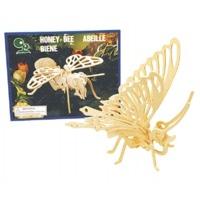 Make Your Own Insect Wood Kit Assorted Designs