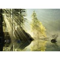 Magic Forests, Morning Glow 1000 Piece Jigsaw Puzzle