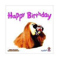magic roundabout greeting birthday any occasion card dougal 100 genuin ...