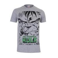 Marvel Men\'s Angry Hulk Face T-Shirt - Heather Grey - M