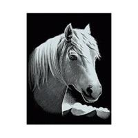 Mammut Scraperfoil Silver Small with Frame Horse Portrait