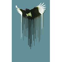 Magpie By Carl Moore