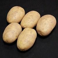 Maris Piper Seed Potatoes (1kg)