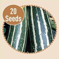 Marrow Tiger Cross F1 20 Seeds