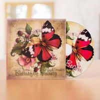 magik graphics butterfly beauty cd rom 397856