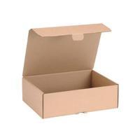 Mailing Carton Easy Assemble M Brown Pack of 20 43383251
