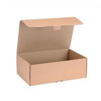 Mailing Carton Easy Assemble L Brown Pack of 20 43383252
