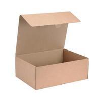 Mailing Carton Easy Assemble XL Brown Pack of 20 43383253