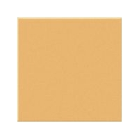 Mango Gloss Medium (PRG56) Tiles - 150x150x6.5mm
