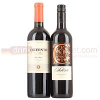 Malbec value pack - Argentinian Red Wine - 2x75cl