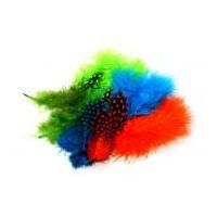 marabou guinea feathers vivid mix