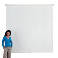 Manual Borderless Wall Screens W 2400mm x H 2400mm