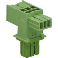 Mains T distributor Mains plug - Mains socket, Mains socket Total number of pins: 2 Green WAGO 893-1606 1 pc(s)
