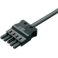 Mains cable Mains socket - Cable, open-ended Total number of pins: 4 + PE White Adels-Contact 1 pc(s)