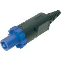 Mains connector ATT.LOV.SERIES_POWERCONNECTORS FC Plug, straight Total number of pins: 3 + PE 20 A Blue Cliff FCR2066 1