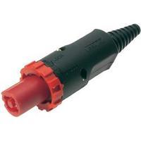 Mains connector ATT.LOV.SERIES_POWERCONNECTORS FC Plug, straight Total number of pins: 3 + PE 20 A Red Cliff FCR2067 1