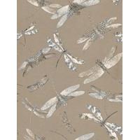 Matthew Williamson Wallpapers Dragonfly Dance Taupe/Grey, W6650-06
