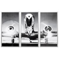 matte silver colour frame prints wildfire set of 3